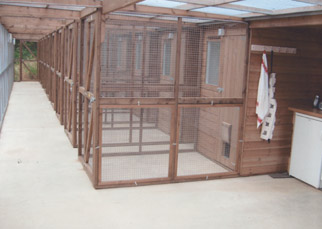Interior view of the boarding chalets at Radmore Farm Cattery